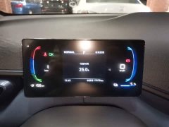 BYD Seagull Glory Edition 305km Vitality Version - ფოტო 8