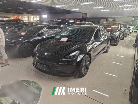 2022 Tesla Model 3 Rear-Wheel Drive - ავტომობილი ჩინეთიდან
