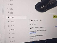 Tesla Model 3 Rear-Wheel Drive - ფოტო 12
