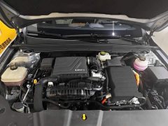 BYD Qin Plus Champion Edition DM-i 120KM Excellence - ფოტო 20