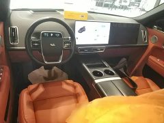 Li Auto L9 2022 Max - ფოტო 10