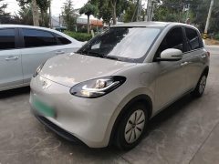 Wuling Binguo 2023 333km Quick Enjoy Edition - ფოტო 1