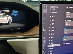 Tesla Model X Dual Motor All-Wheel Drive - ფოტო 14
