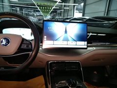 BYD Yuan Plus DM-i 115KM Flagship - ფოტო 13