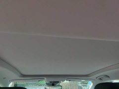 Buick Junyue 28T Yue Zun Edition - ფოტო 18
