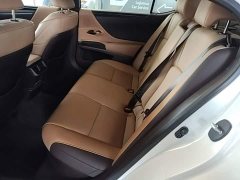 Lexus ES 2020 300h Excellence - ფოტო 17
