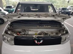 Wuling Hongguang MINIEV 2020 Zizai Edition LFP Battery - ფოტო 20