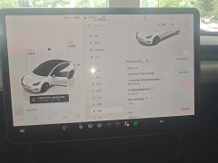 Tesla Model 3 2022 Rear-Wheel Drive - ფოტო 12