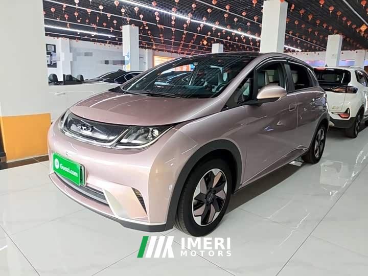 BYD Dolphin Glory Edition 420km Fashion Version