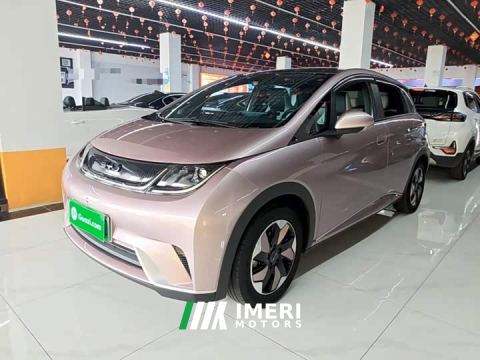 2024 BYD Dolphin Glory Edition 420km Fashion Version