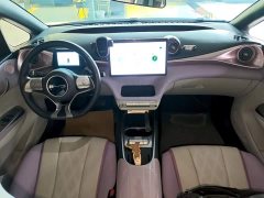 BYD Dolphin Glory Edition 420km Fashion Version - ფოტო 10