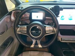 BYD Dolphin Glory Edition 420km Fashion Version - ფოტო 11