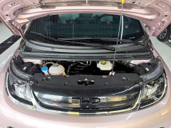 BYD Dolphin Glory Edition 420km Fashion Version - ფოტო 20