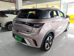 BYD Dolphin Glory Edition 420km Fashion Version - ფოტო 7