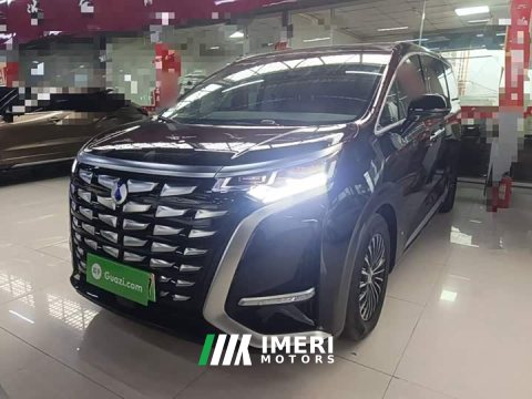 2025 Denza BYD Denza D9 2024 DM-i 980 AWD Luxury - ავტომობილი ჩინეთიდან