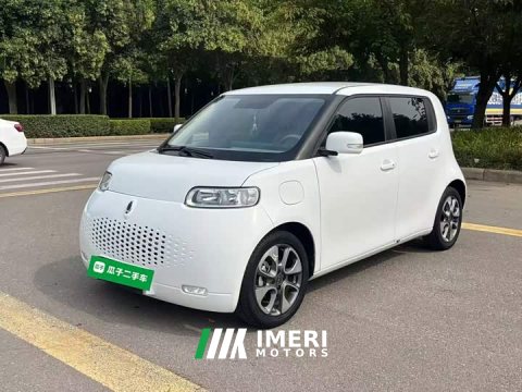 2021 ORA White Cat 2020 305km Luxury - ავტომობილი ჩინეთიდან