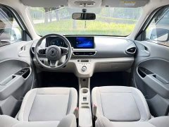 ORA White Cat 2020 305km Luxury - ფოტო 10