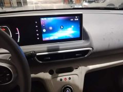 ORA White Cat 2020 305km Luxury - ფოტო 13