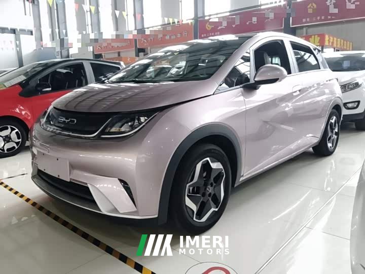 BYD Dolphin 405km Fashion Edition - ავტომობილი ჩინეთიდან