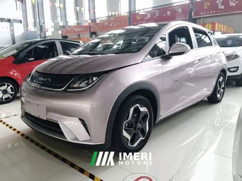 2022 BYD Dolphin 405km Fashion Edition