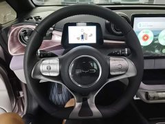 BYD Dolphin 405km Fashion Edition - ფოტო 11