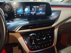 Buick GL8 ES Land Respect 653T Respect Enjoyment Edition - ფოტო 13