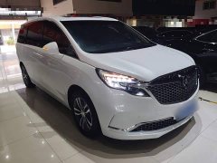 Buick GL8 ES Land Respect 653T Respect Enjoyment Edition - ფოტო 4
