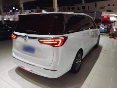 Buick GL8 ES Land Respect 653T Respect Enjoyment Edition - ფოტო 7