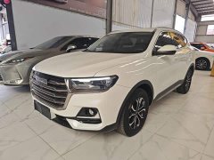 Haval H6 2021 National Trend Edition 1.5T Automatic Urban Version - ფოტო 1