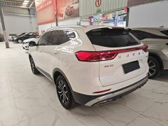 Haval H6 2021 National Trend Edition 1.5T Automatic Urban Version - ფოტო 5