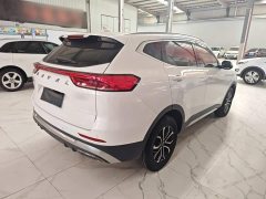 Haval H6 2021 National Trend Edition 1.5T Automatic Urban Version - ფოტო 7