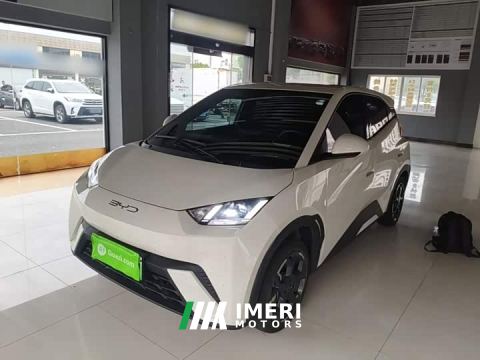 2024 BYD Seagull 405km Flying Edition