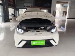 BYD Seagull 2025 405km Flying Edition - ფოტო 20