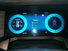 Tank 300 2021 City Edition 2.0T Stylish - ფოტო 12