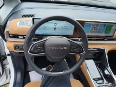 Maxus G50 Plug-in Hybrid Flagship Edition - ფოტო 11