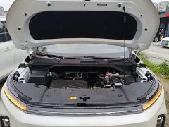 Maxus G50 Plug-in Hybrid Flagship Edition - ფოტო 20