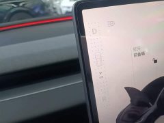 Tesla Model 3 Rear-Wheel Drive - ფოტო 14