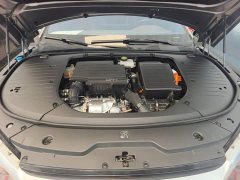 BYD Han DM-i 121KM Prestige - ფოტო 20