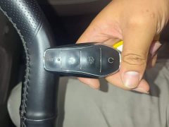 BYD Han DM-i 121KM Prestige - ფოტო 9