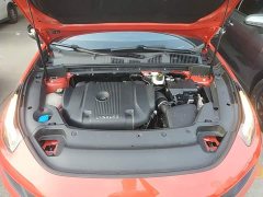 Lynk & Co Geely Lynk & Co 03 2.0T Diesel Automatic Champion Edition - ფოტო 20