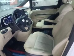 Buick GL8 ES Land Respect 653T Premier - ფოტო 15
