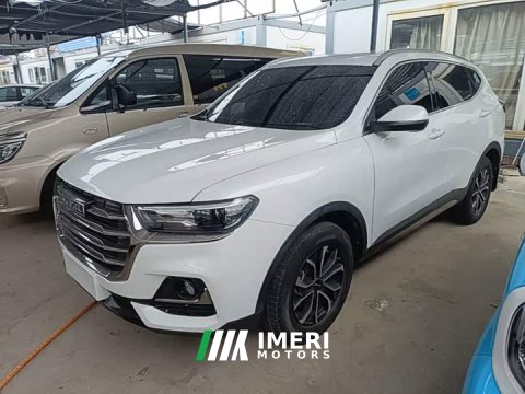 2021 Haval H6 National Trend Edition 1.5T Automatic Urban Version - ავტომობილი ჩინეთიდან