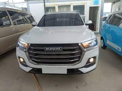 Haval H6 National Trend Edition 1.5T Automatic Urban Version - ფოტო 3