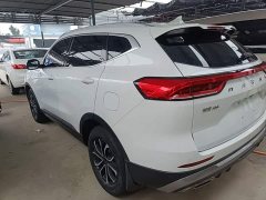 Haval H6 National Trend Edition 1.5T Automatic Urban Version - ფოტო 5