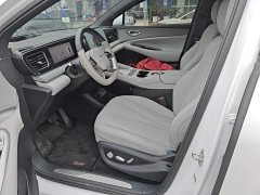 BYD Haima Sealion 06 2025 DM-i 205 Pilot Plus - ფოტო 15