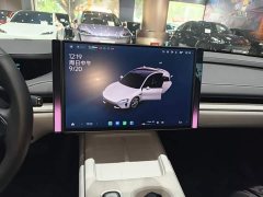 Xiaomi SU7 2024 Rear-Wheel Drive Ultra-Long Range Advanced Autonomous Driving Pro - ფოტო 13