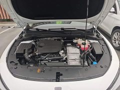 SAIC MG D7 DMH 125km World Champion Edition - ფოტო 20