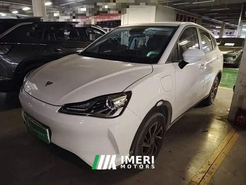 2022 Neta V 2021 Standard Range Entertainment Edition Upgrade - ავტომობილი ჩინეთიდან