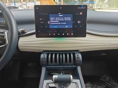 BYD Yuan Plus 430KM Premium Edition - ფოტო 13