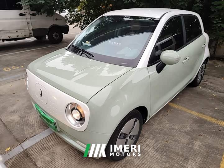 ORA Black Cat Facelift 301km Pet-Lover Edition LFP Battery - ავტომობილი ჩინეთიდან